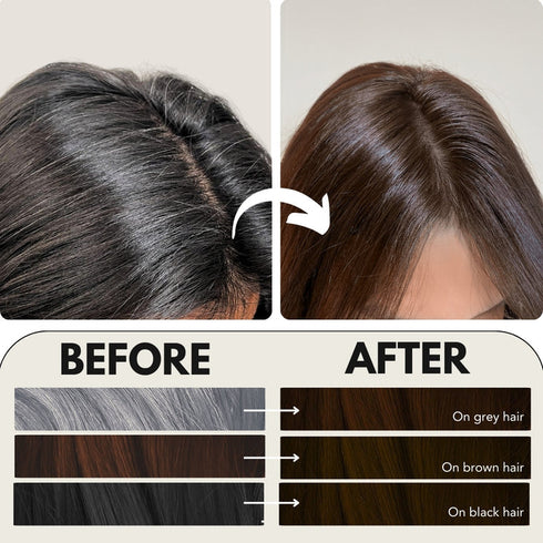 Paradyes Natural Brown Timeless Hair Tint